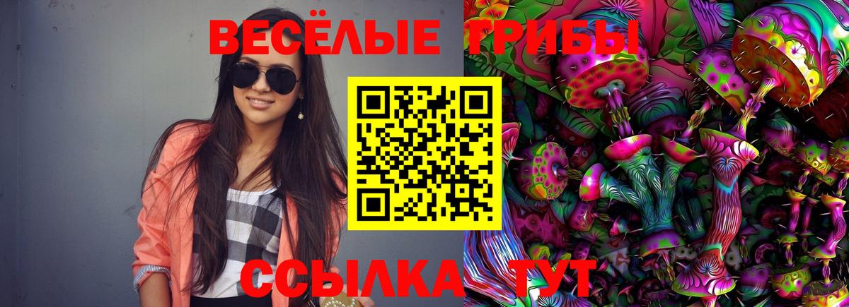 Галлюциногенные грибы GOLDEN TEACHER Будённовск