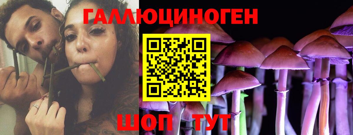 Галлюциногенные грибы прущие грибы  Псилоцибиновые грибы MAGIC MUSHROOMS  как найти   Будённовск 