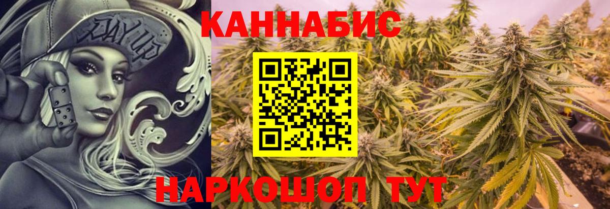 Бошки марихуана сатива Будённовск